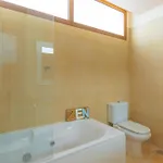 With Pool, Luxury Scape In